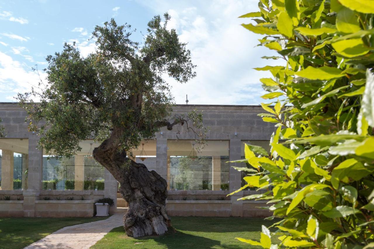 Masseria Torre Del Diamante Torre Canne Extérieur photo