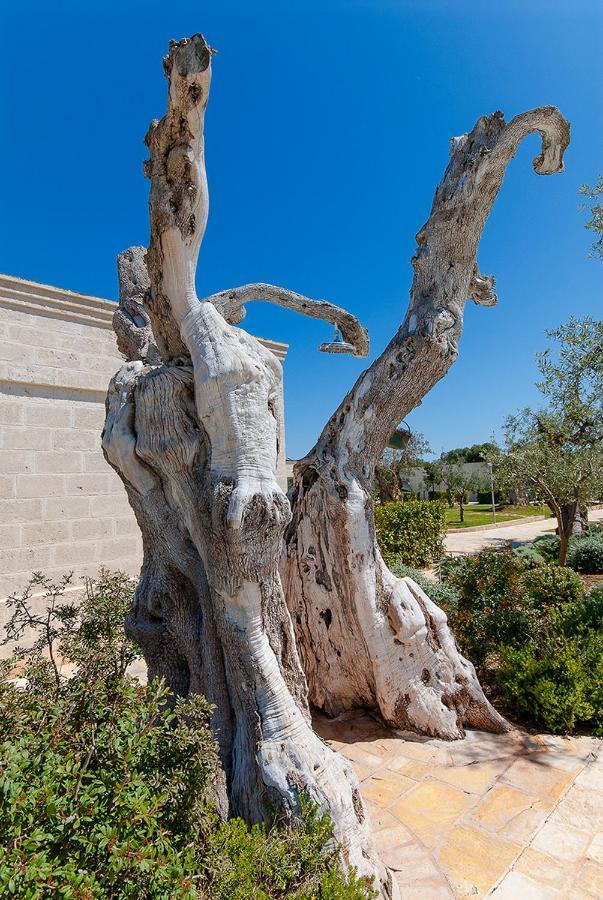 Masseria Torre Del Diamante Torre Canne Extérieur photo