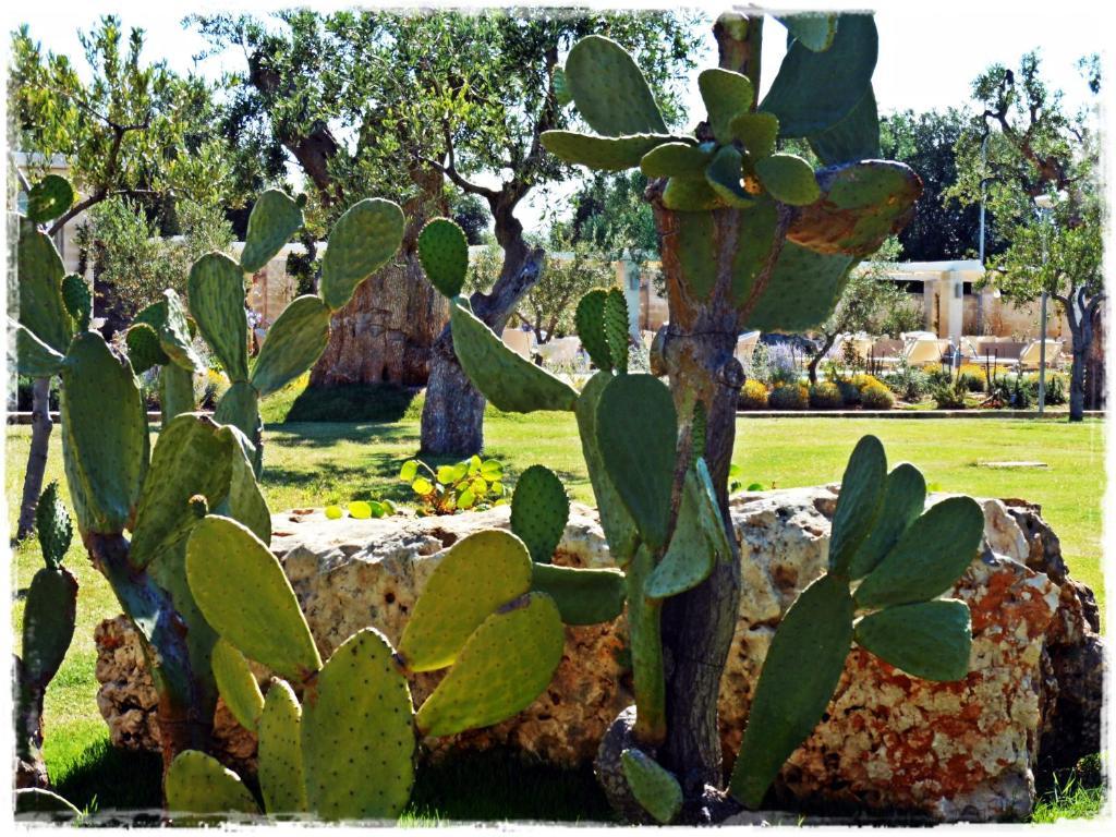 Masseria Torre Del Diamante Torre Canne Extérieur photo